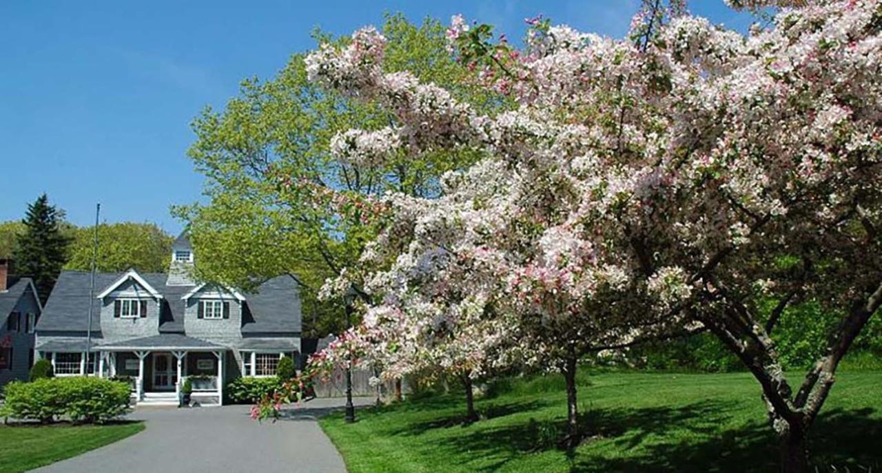 Cape Arundel Inn - Club House Kennebunkport Eksteriør billede
